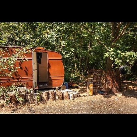 Little Vintage Caravan With Cosy Log Burner Canterbury Exterior foto